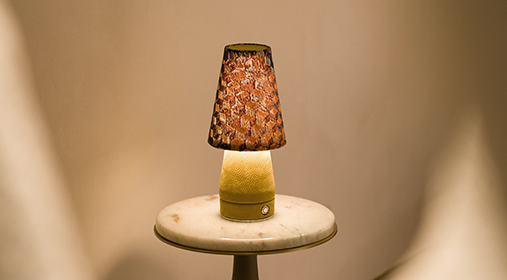 Decoration & Accessories