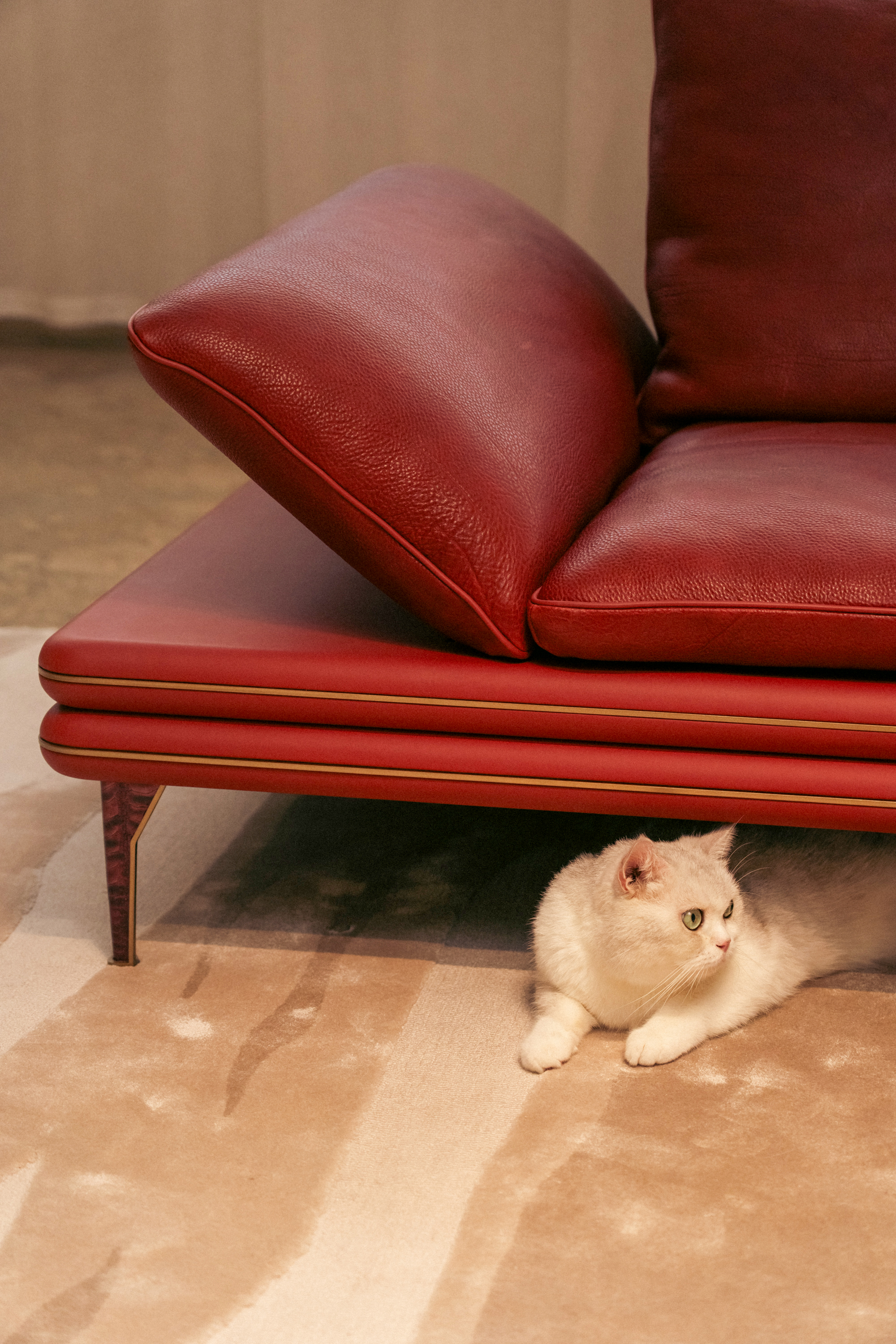 诺亚获奖 (1).jpg