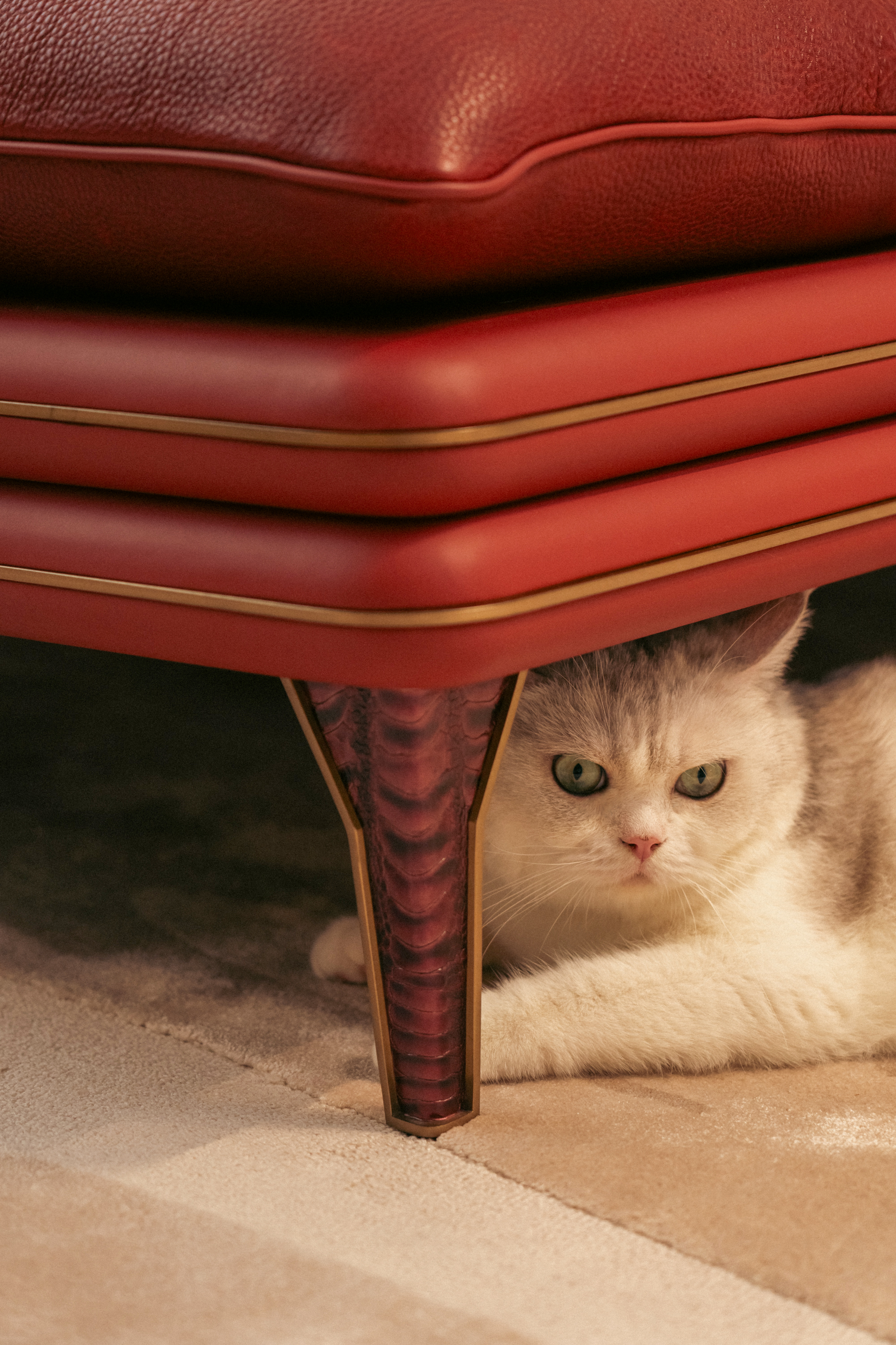 诺亚获奖 (3).jpg